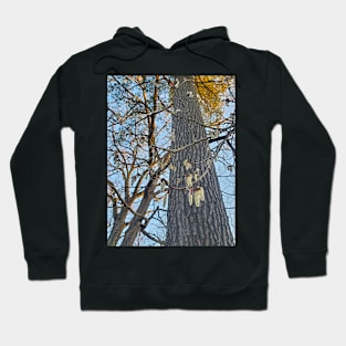 Dangling Seeds Hoodie